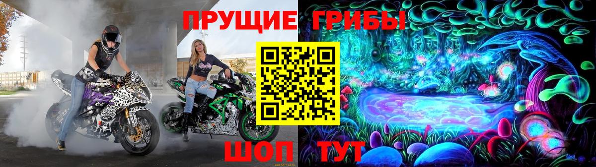 Галлюциногенные грибы GOLDEN TEACHER Солнечногорск